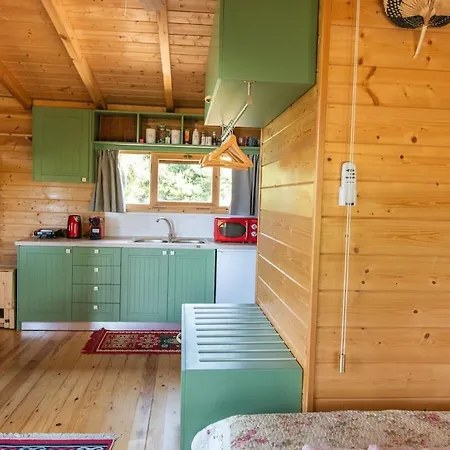 The Treehouse Project