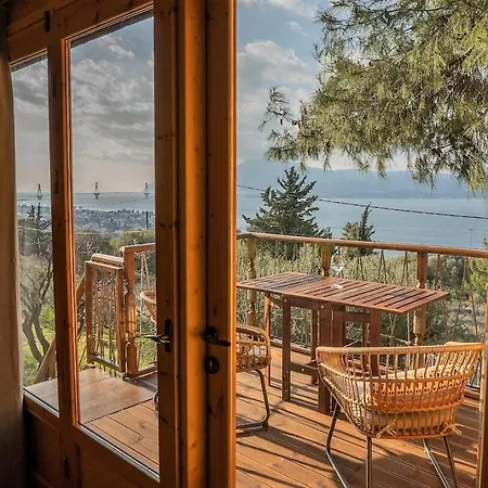 The Treehouse Project * Патра