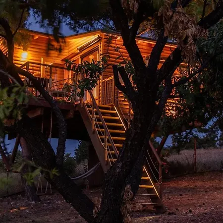 The Treehouse Project