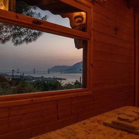 The Treehouse Project