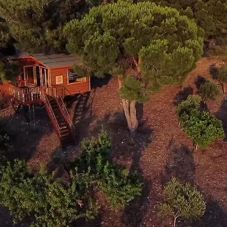 The Treehouse Project Дом отдыха Патра